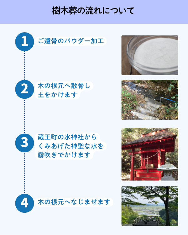 樹木葬の流れについて