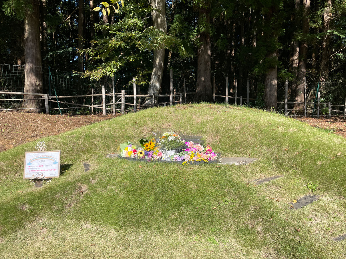 合同慰霊碑