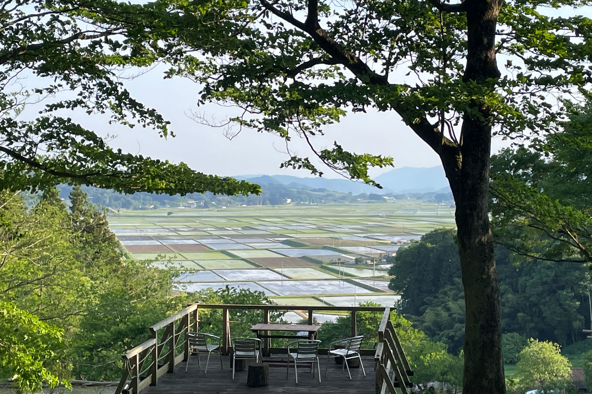 こもれび葬